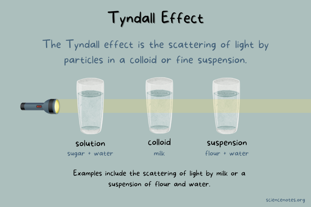 <p>If a beam of light passes through a true solution, there is very little scattering of light, so the beam of light can’t be seen</p><p>-in a colloid, the particles scatter the beam of light, so you can see the path.</p>