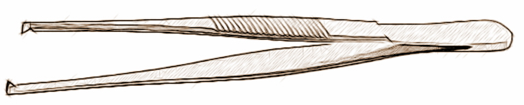 term image