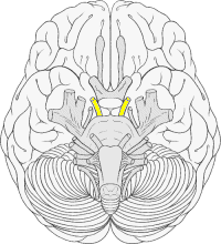 <p>what is this structure?</p>