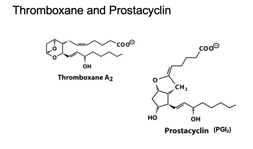 <ul><li><p>thromboxane</p><ul><li><p>6 membered ring</p></li></ul></li><li><p>prostacyclin</p><ul><li><p>only I Ietter code</p></li></ul></li></ul><p></p>
