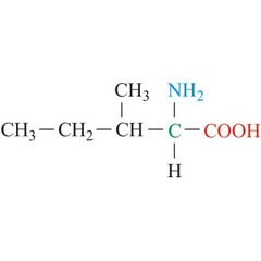 <p>Non-polar aliphatic; * 1 of the two AA (threonine) that has a chiral carbon in its side chain</p>