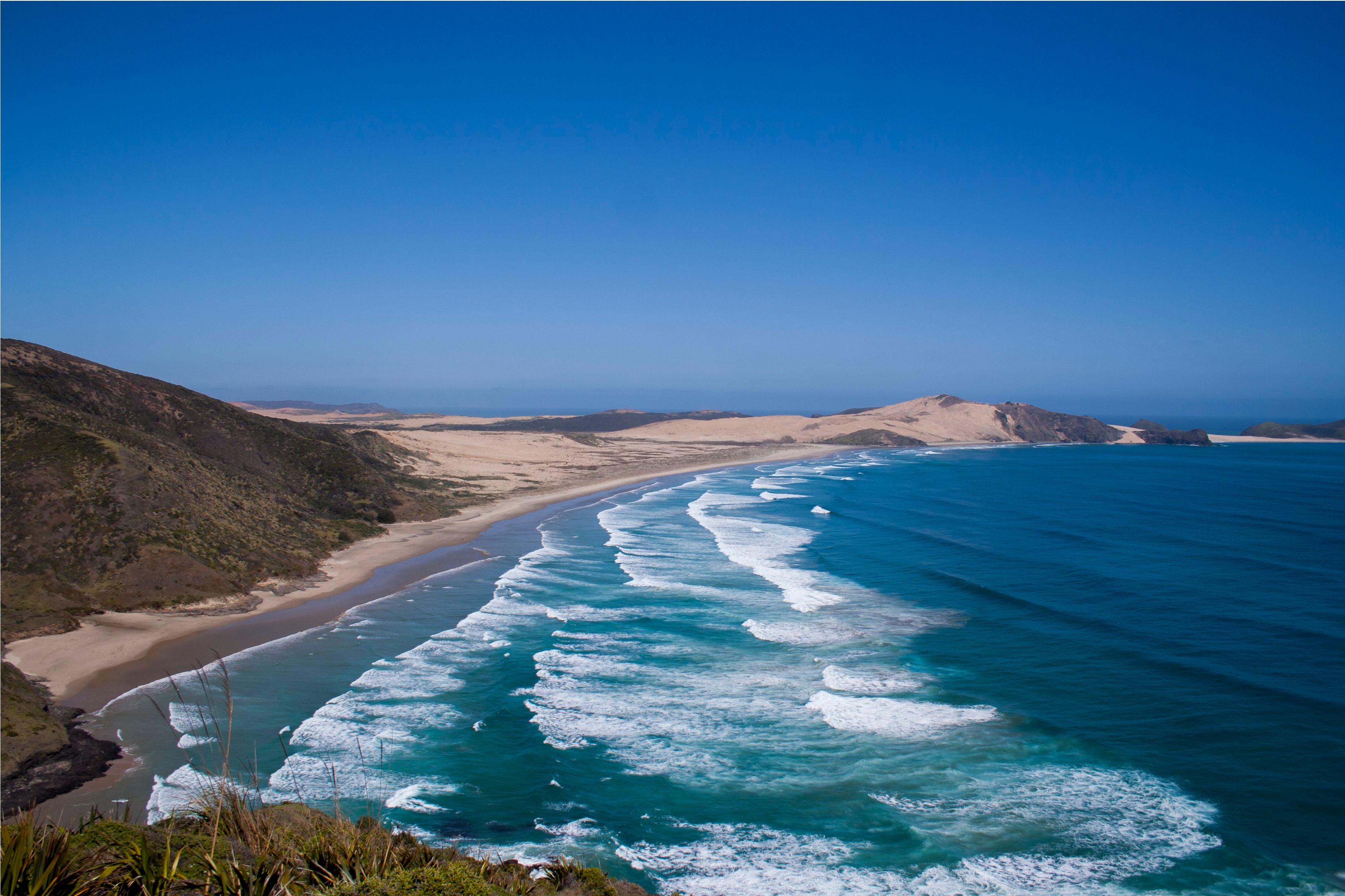 <p><span>the </span>land<span> next to or </span>close<span> to the </span>sea</p>