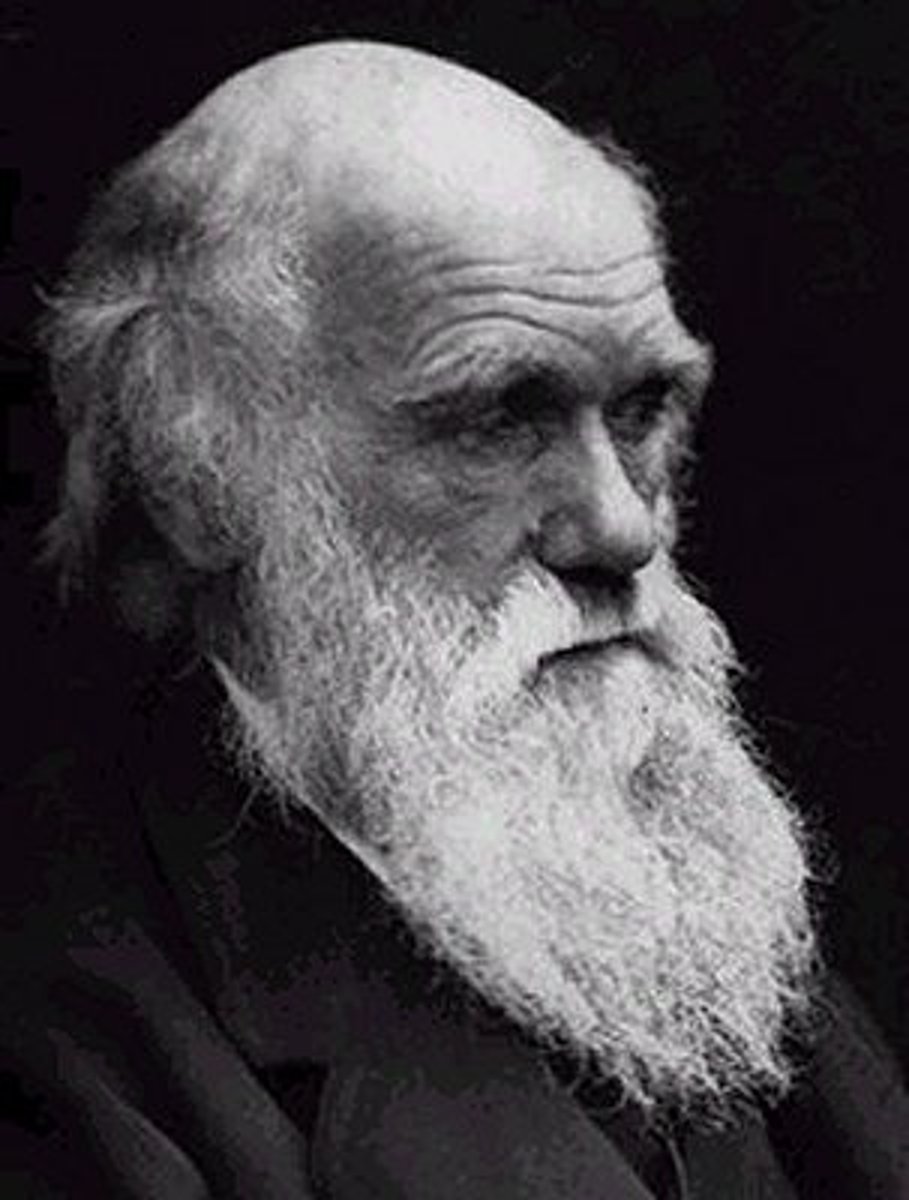 <p>(1809-1882)</p><p>founded law of natural selection and theory of evolution</p><p>- inspired school of functionalism (James)</p>