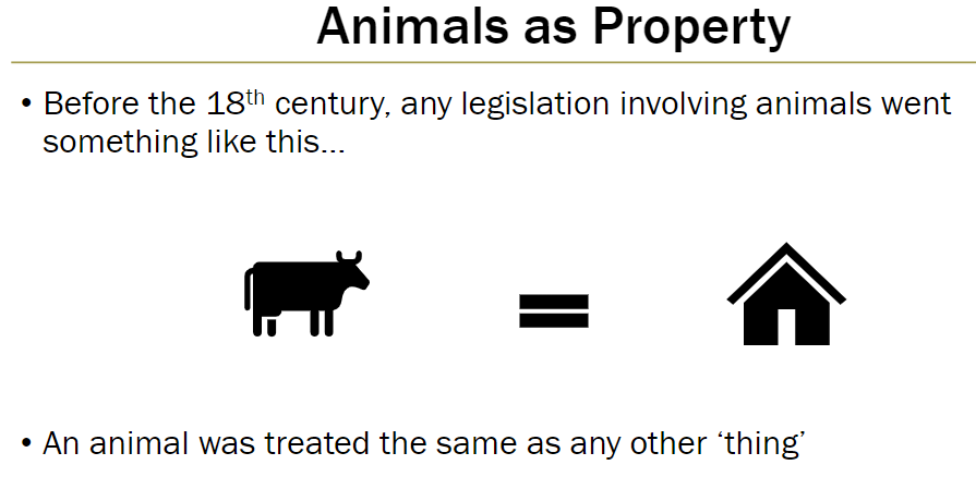 <p>Before the 18th century, animals were treated like any other ‘thing’<br> Laws considered them property, not beings with rights<br> Legal status focused on ownership, not welfare</p>