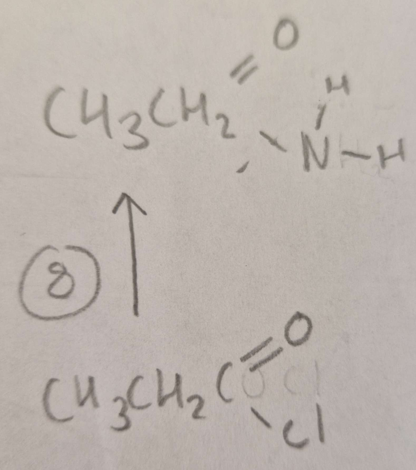 <p>Acyl Chloride to Acid Amide Mechanism:</p>