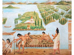 Floating gardens constructed along lake shores by the Mexica/Aztecs to increase agricultural yields.