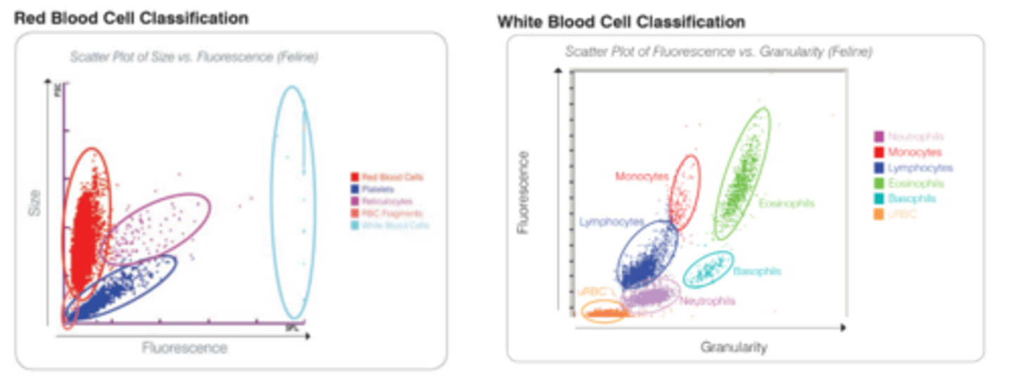 <p>- dot plots are visual representations of the CBC</p><p>- Each dot represents one cell graphed by size and granularity or fluorescnce</p><p>- the analyzer uses side-scattered fluorescence and side scatter</p><p>- two methods: impedence counter, laser cytometry</p>