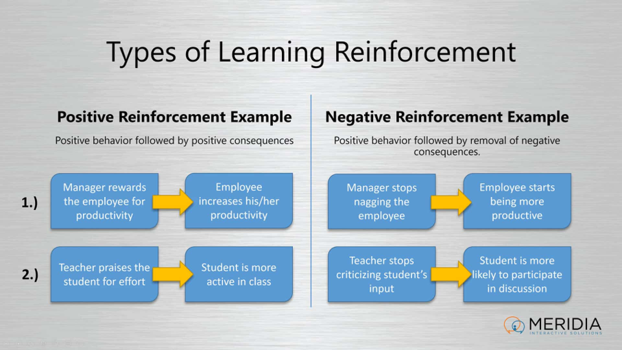 <p>types of reinforcers</p>