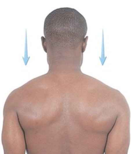 <p>moving a body part on the frontal plane downward</p>