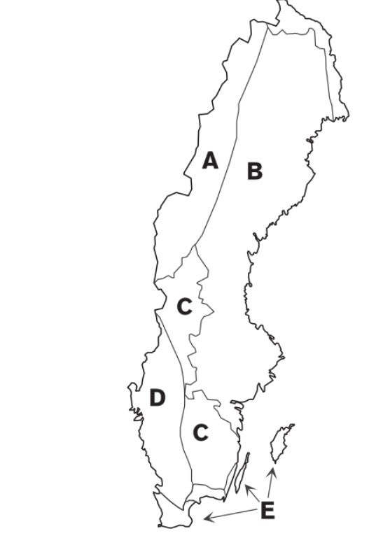 A) Kaledoniderna (svensk-norska fjällkedjan) - Metamorfa bergarter i form av kvartsit, skiffer, marmor, konglomerat (omvandlad sand-grussten)

B) Svekofennisk berggrund – Metamorfa sedimentära och vulkaniska bergarter, bland annat: skiffer (omvandlad ler-siltsten), marmor (omvandlad kalksten), konglomerat samt Magmatiska bergarter såsom graniter, porfyrer och gabbro

C) Transskandinaviska magmatiska bältet (Smålands-Värmlandsgraniterna) – graniter

D) Sydvästskandinaviska provinsen. Metamorfa bergarter – gnejs (omvandlad från antingen magmatiska bergarter (granit) eller från sedimentära bergarter)

E) Sedimentär berggrund inom Skåne, Öland, Gotland. Sandsten, Kalksten, Skiffer samt en del gångbergarter främst diabas. I huvudsak kambrium-silur, men också bergarter från Trias-Jura-Krita i Skåne