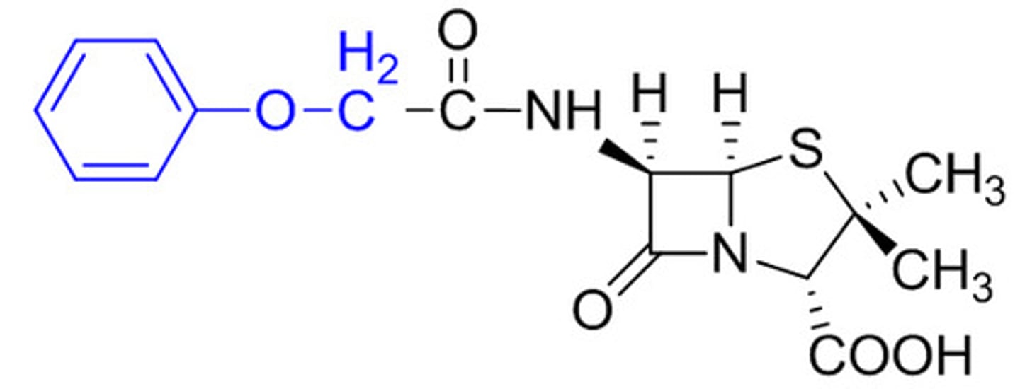<p>Can be taken orally</p><p>Beta-lactam ring in the center square</p>