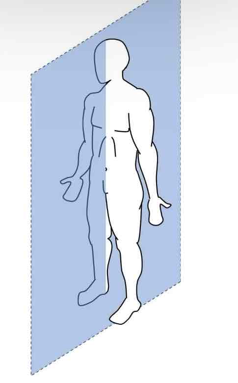 <p>Sagittal plane that lies on the midline </p>