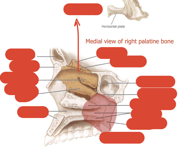 <p>label this diagram </p>