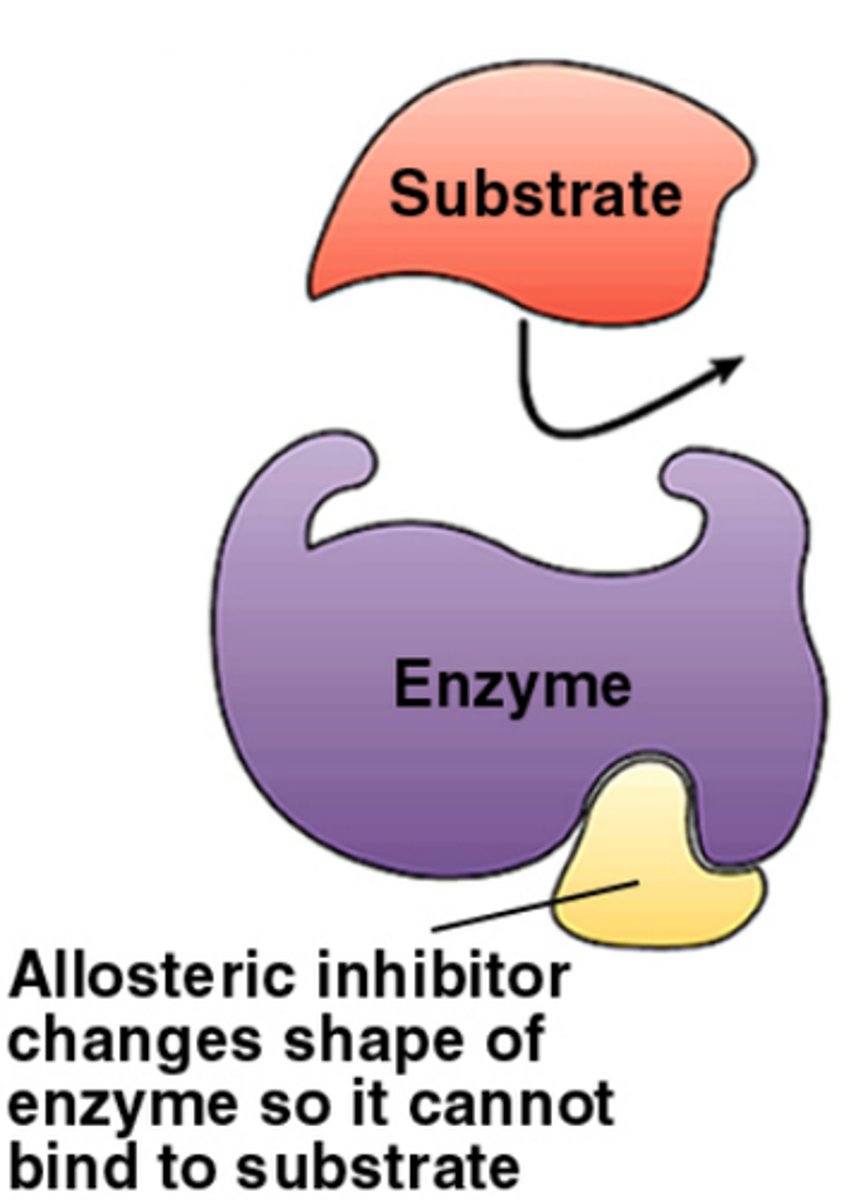 <p>Inhibitors bind elsewhere on enzyme and alters shape of active site, preventing substrate holding. Can be permanent or reversible.</p>