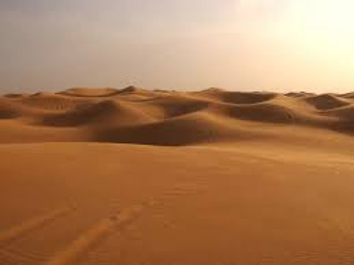<p>desert</p>