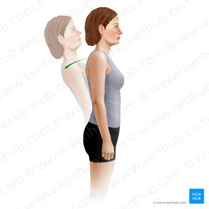 <p>Which axis is this action happening about?</p>