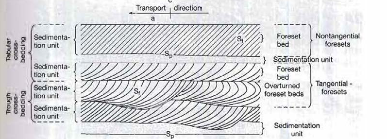<p>In case of tabular cross bedding the bounding surfaces are ALWAYS planar, and COMMONLY the foresets are inclined and planar. But in rare instances , the foresets maybe curved, maintaining a tangential relationship to the basal surface.Tabular cross bedding is formed in lower flow regime.</p><p>In case of trough cross bedding one or both the bounding surfaces are curved. So at least 1 bounding surface must be curved.Commonly the foreset is also curved, having a tangential relationship with the basal surface.</p>