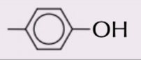 <p>-benzene ring with a OH, RC6H4OH, -phenol, eg 3-ethylphenol</p>