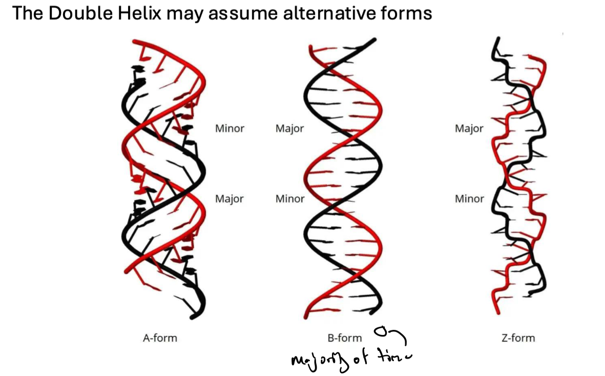 <p>true</p>