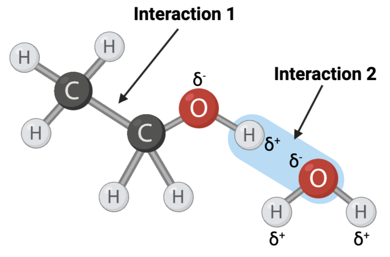 <p><span>Interaction 2 is ____?</span></p>