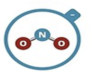 <p>Nitrite</p>