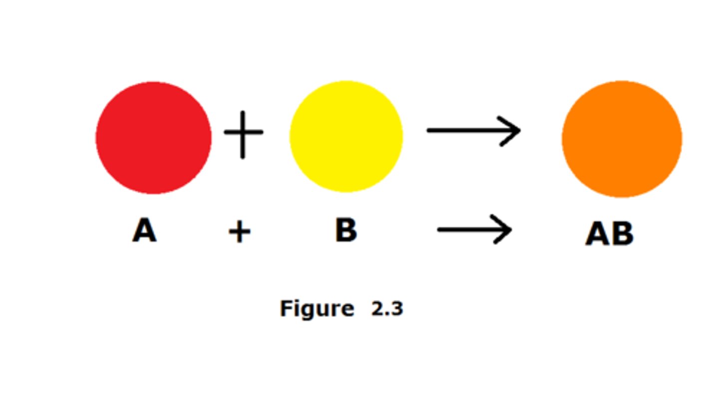 <p>A chemical reaction where two or more reactants combine chemically to form one new product.</p><p>Ex. 2Cu + O₂ → 2CuO</p><p>Copper + Oxygen → Copper Oxide</p>