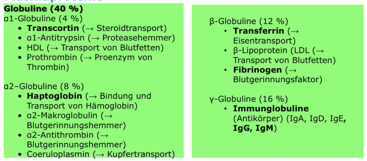 <ul><li><p>Aufrechterhaltung des Kolloidosmotischen Druck → Albumin </p></li><li><p>Transportfunktion → kleinmolekullare Stoffe (Bilirubin, Fette, Medikamene etc.) </p></li><li><p>Pufferfunktion </p></li><li><p>Abwehrfunktion → Immunglobuline (antikörper) sind Proteine und teil des Immunssstem</p></li><li><p>Proteinreservoir → Im Plasma sind ca 200g Eiweisse gelöst welche schnell zur verfügung gestellt werden können</p></li></ul><p></p>