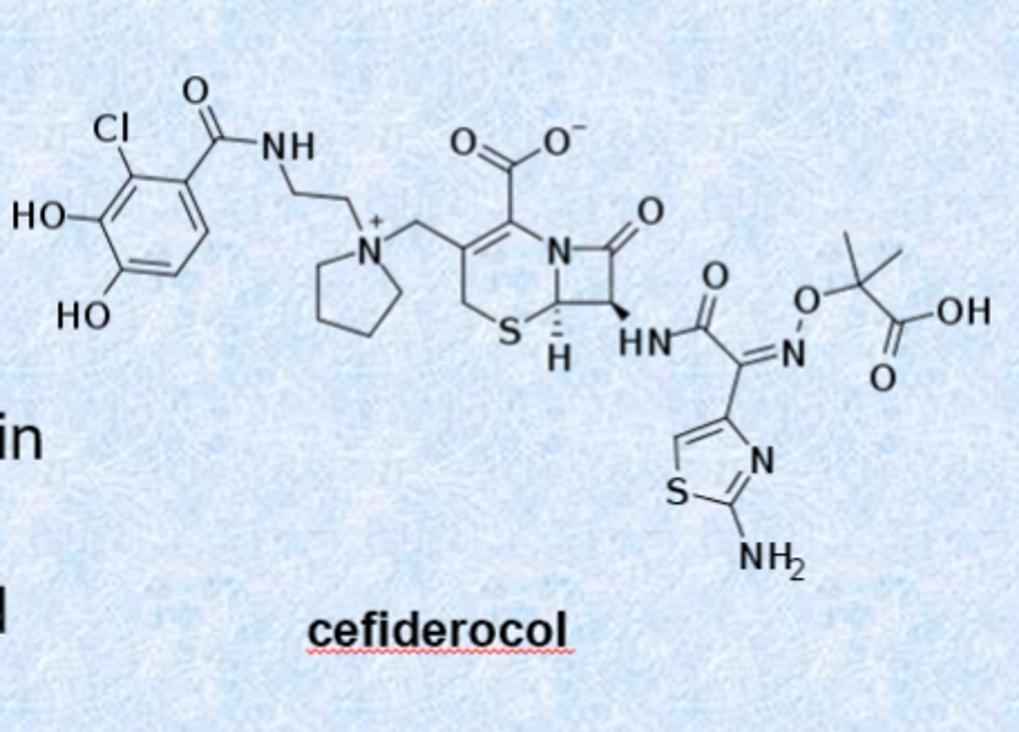 <p>cefiderocol (2019)</p><p>– activity against gram-negative organisms including P. aeruginosa</p><p>– exploits the “war for iron” in the body during infection (bacteria need iron to make new bacteria)</p><p>– acts as a siderophore and can chelate iron</p><p>- right part acts as iron and the bacteria pulls it in and kills the bacteria</p><p>- last resort for cUTI</p><p>– iv injection only</p>