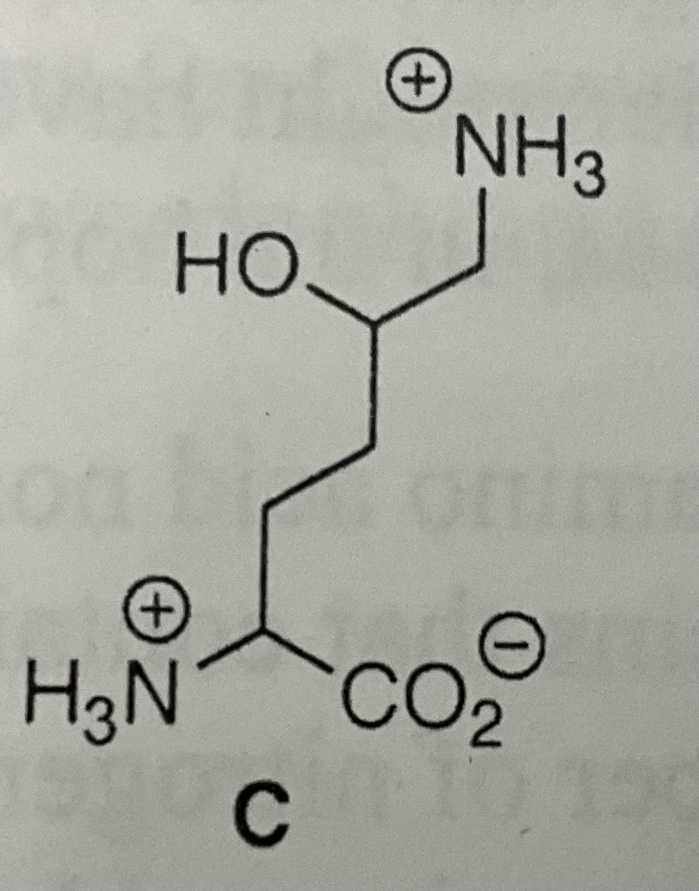 <p>Hydroxylysine </p>