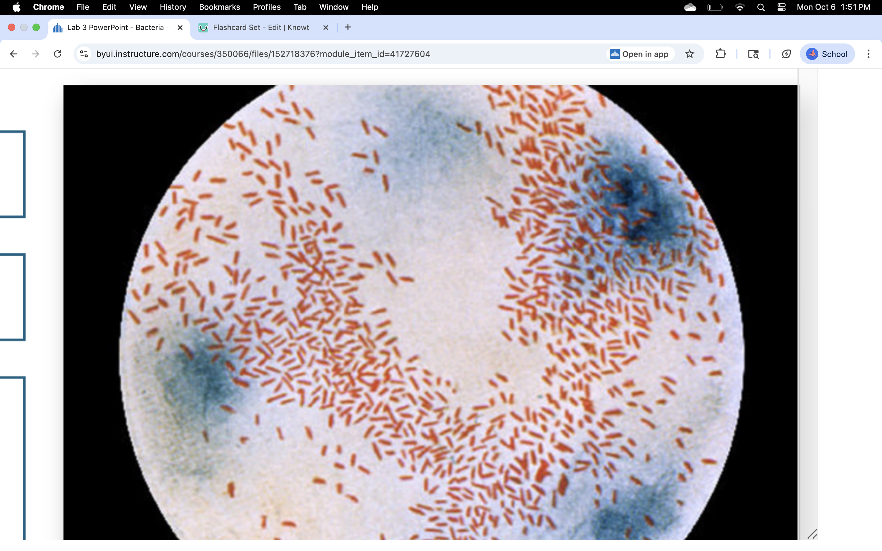 knowt flashcard image