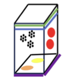 <p>Angiv grøn, blå, rød, sort, lilla, orange og gul</p>