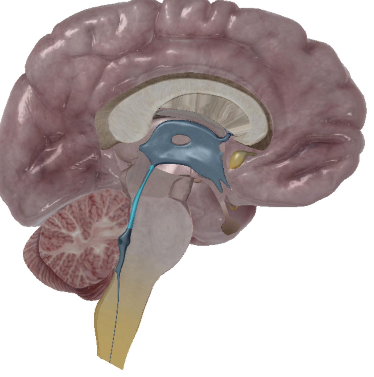 <p>what is highlighted </p>