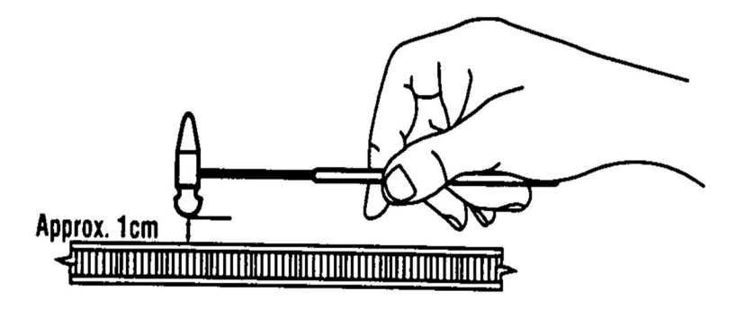 term image