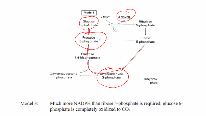 <p>the answer is in the pathway. </p>