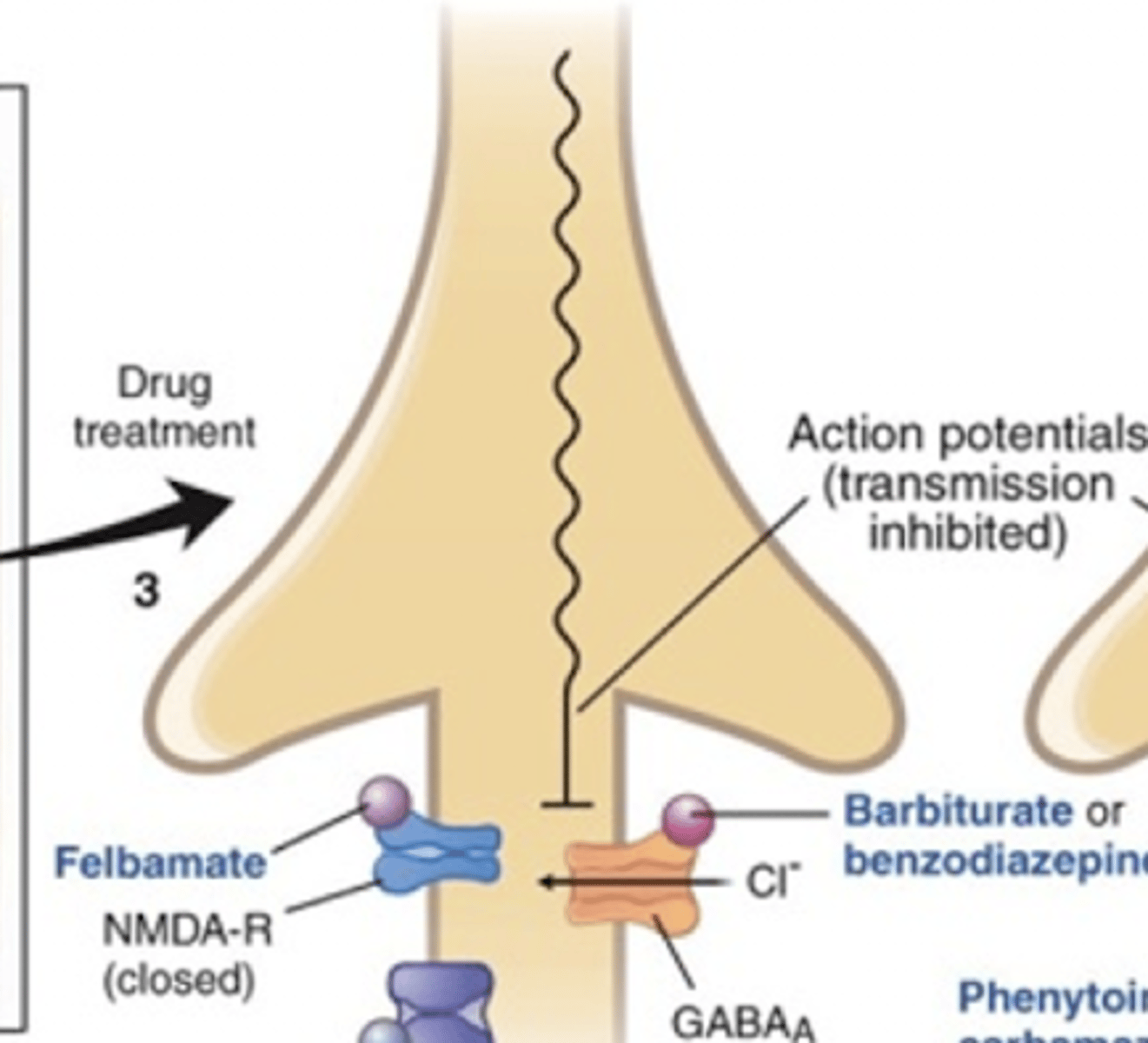 <p>NMDA receptor antagonist</p><p>Inhibits Glu excitation by antagonizing it's receptor</p><p>Prevents AP transmission</p>