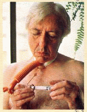 <ul><li><p>The “Larkel”</p></li></ul><p></p>