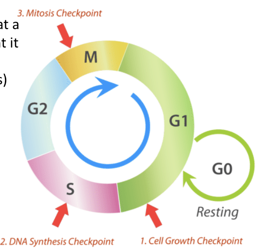 Checkpoints