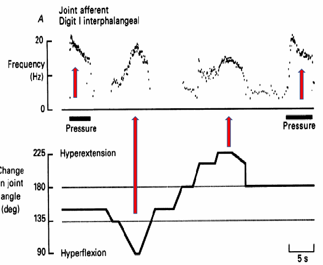 <p>what does this graph illustrate</p>