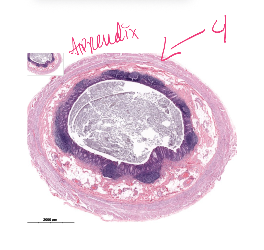 <p>4</p>