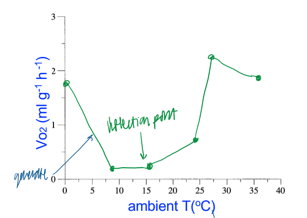 <p>energy expenditure/VO2 is greatest at extremely low and high temps </p><ul><li><p>low VO2 at optimal, moderate temps </p></li></ul><p></p>