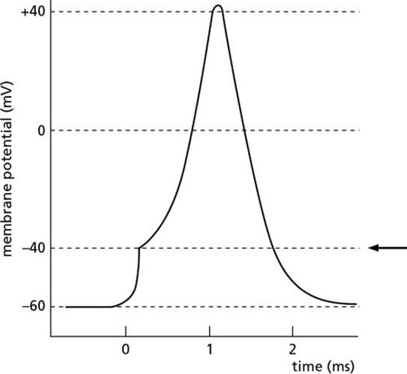 <p>Cellular respiration, which uses oxygen, generates carbon dioxide, and produces chemical energy for the cell.</p>