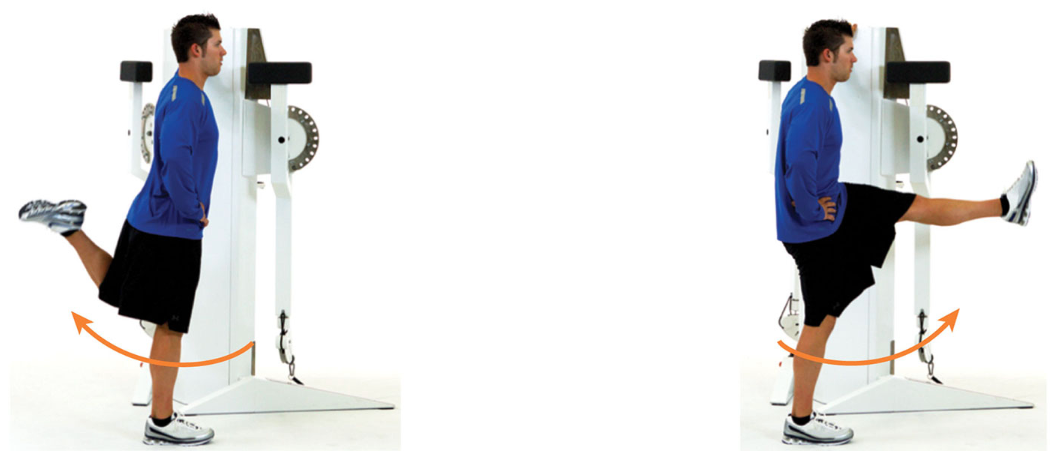 in standing position, swing one leg in a controlled pendulum fashion to the front and back, only lifting the leg as high as can safely be controlled

keep a tall, upright posture with the abdominals drawn in during the duration of the exercise