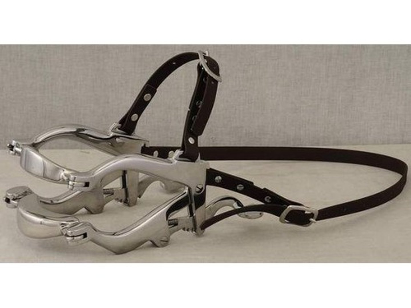 <p>used to keep the mouth locked in open position during dental or oral procedures</p>