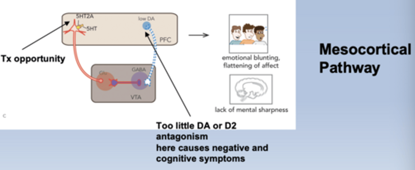 <p>-5HT2A excites glutamate's effect on GABA (low DA)</p><p>-GABA inhibits mesocortical pathway: causes negative symptoms</p><p>-5HT2A antagonist decrease excitement on GABA, less GABA gives more activity in mesocortical pathway, resulting in increased DA and a reduction in negative symptoms</p>