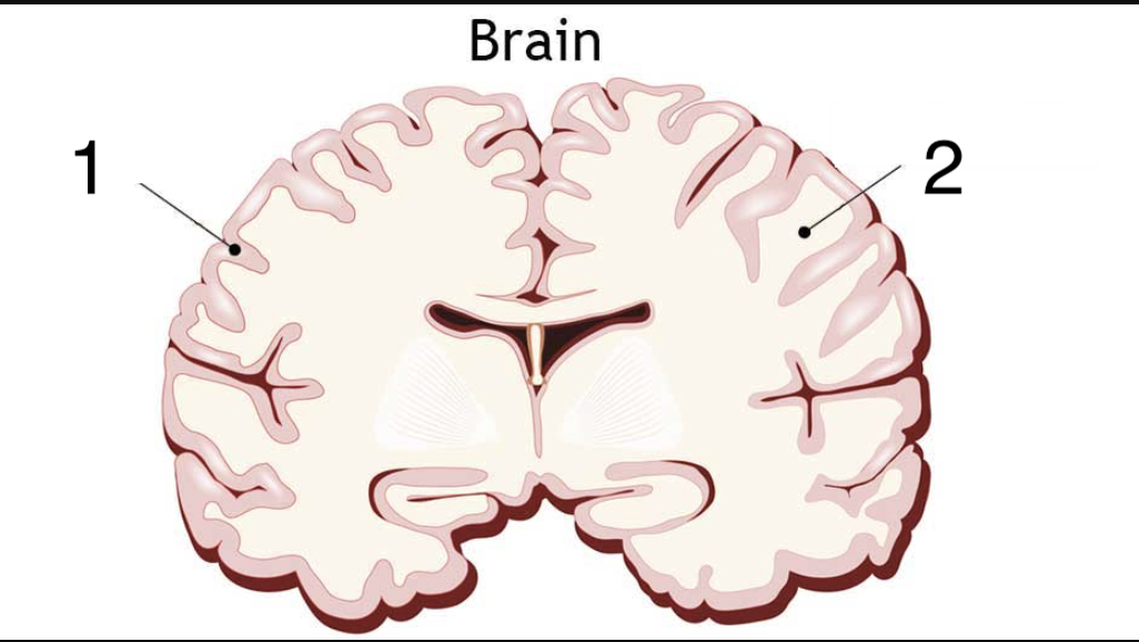 <p>1</p>