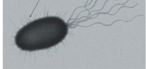 <p>What is this?</p>
