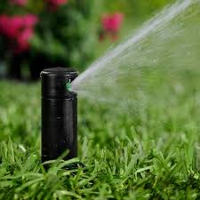 <p>&nbsp;Sprinkler head that rises above ground level when in use and retracts when not.</p>