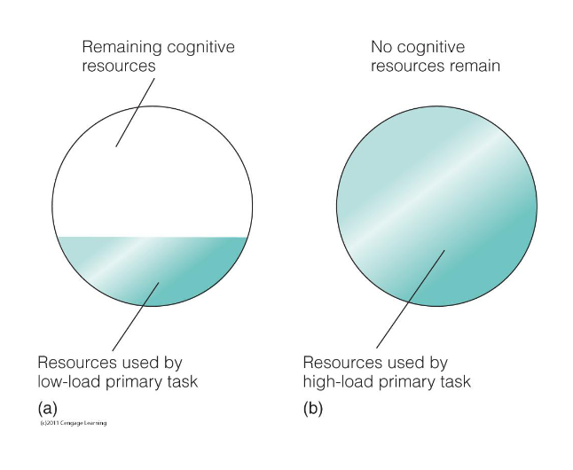 <p>When the mental load of a task is low there are enough resources to process other information</p><p>But when the mental load of a task is high, the system is already using all of its resources. Meaning no more resources are available for processing other info (no divided attention) </p>