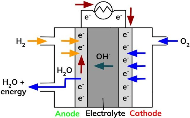 <ul><li><p>Hydrogen gas in (Anode -ve)</p></li><li><p>Oxygen gas in (Cathode +ve)</p></li><li><p>Water leaves</p></li><li><p>Electrolyte = KOH/NaOH</p></li></ul><p></p>