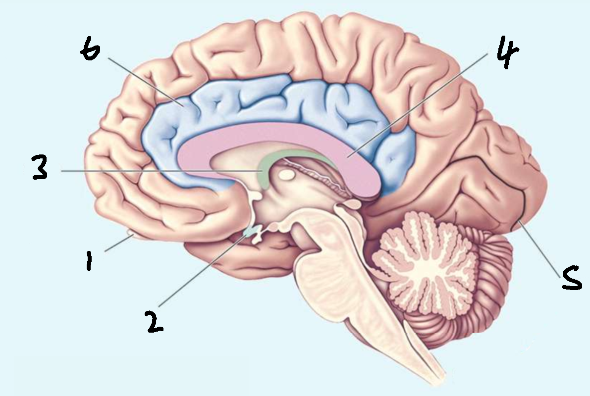 <p>What is 1?</p>